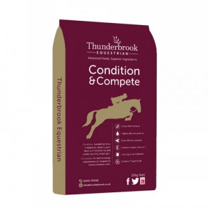 Thunderbrook Condition & Complete